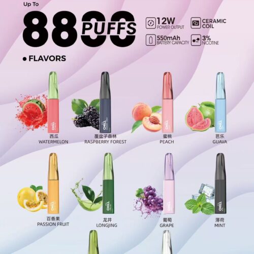 鴨嘴獸CHILL 8800口隨身電子煙｜口數紮實×輕巧機身免充電免添油
